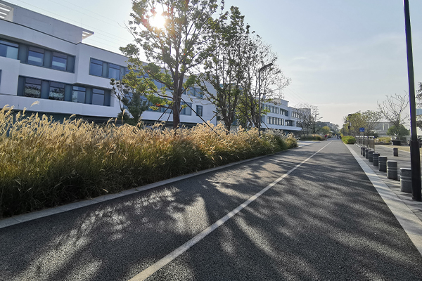 園區道路