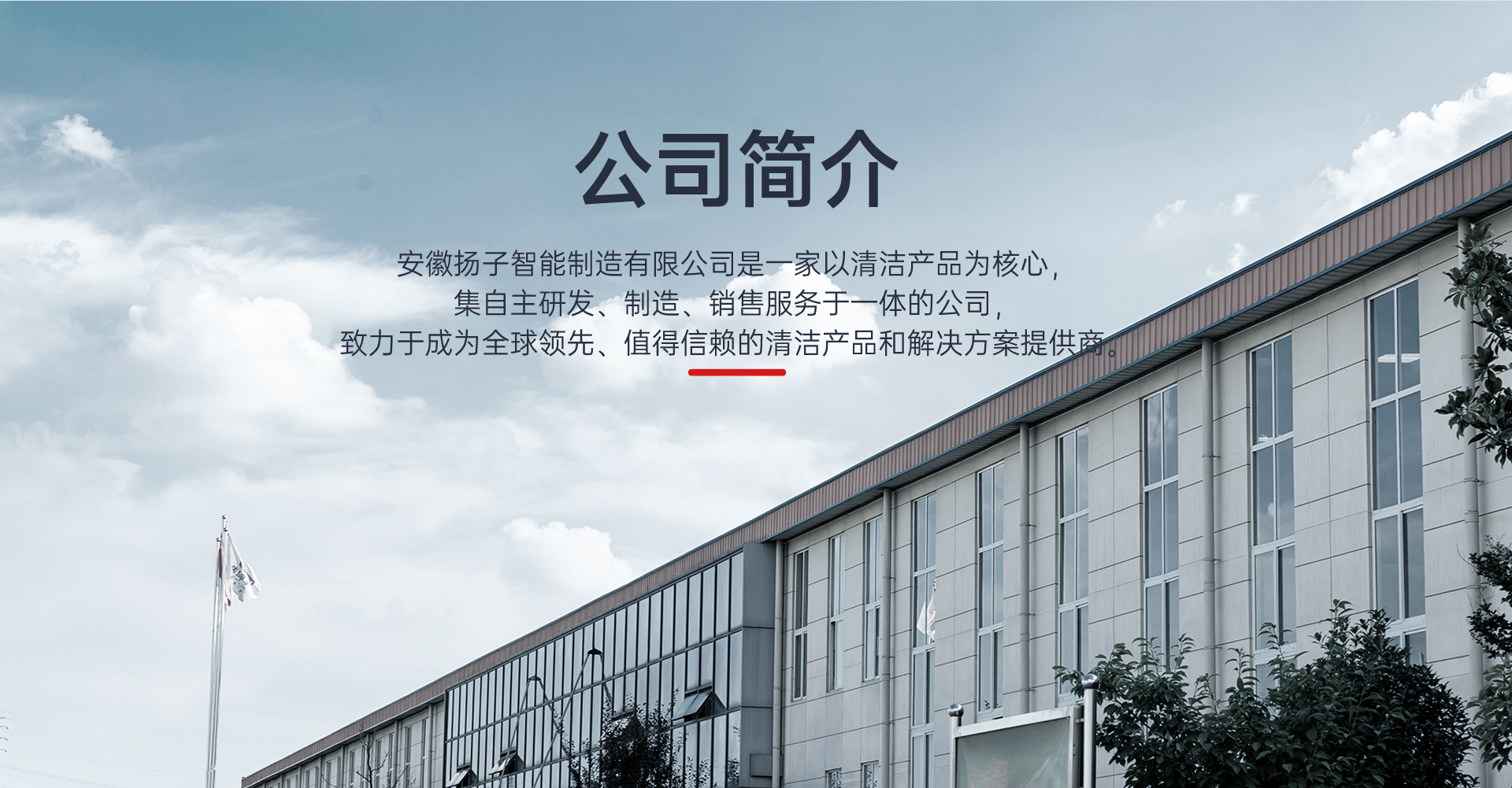揚子公司簡(jiǎn)介